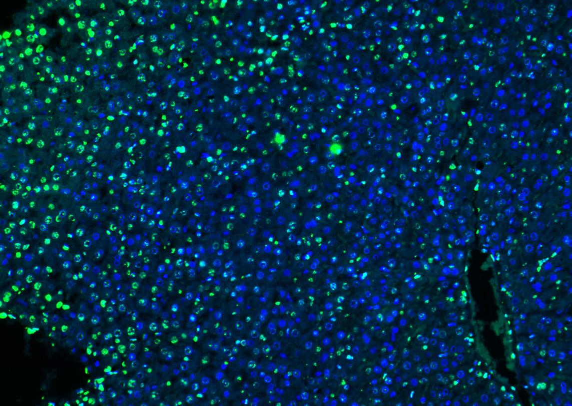 产品细节图片14