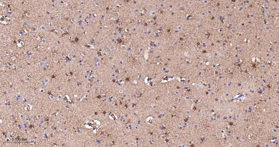 产品细节图片10