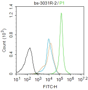 phospho-ASK1 (Thr845) Rabbit p