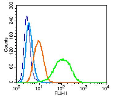 Integrin alpha 4 Rabbit pAb(bs