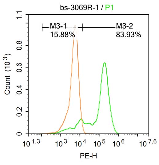 phospho-BTK (Tyr223) Rabbit pA