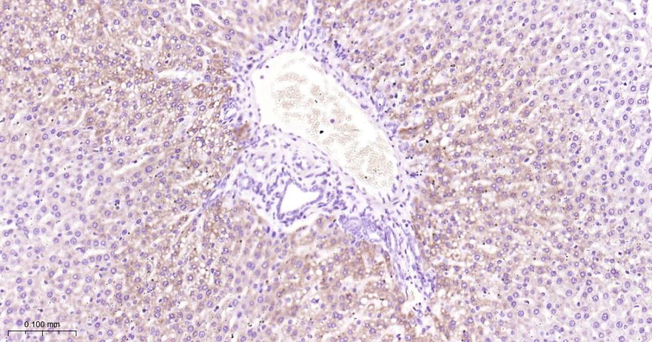 产品细节图片11