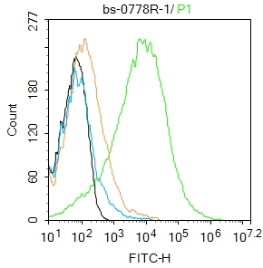 CD90/Thy-1 Rabbit pAb(bs-0778R