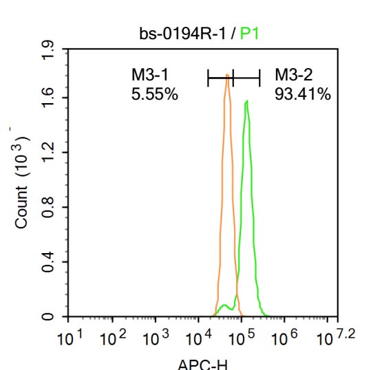 GRP94 Rabbit pAb(bs-0194R)-50u