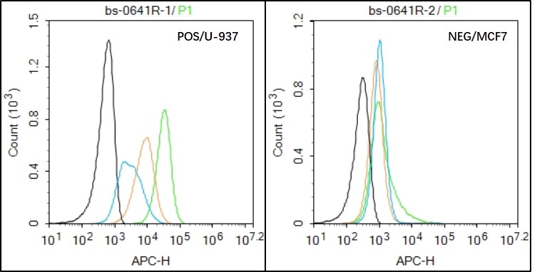 Integrin alpha 4 Rabbit pAb(bs