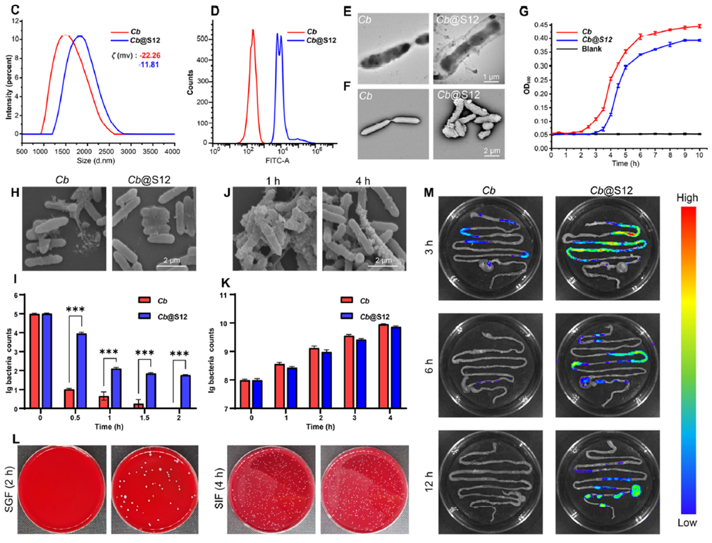 abinScience助力S12脂质研究,解锁治疗肠道疾病