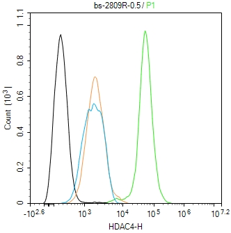 HDAC4 Rabbit pAb(bs-2809R)-50u