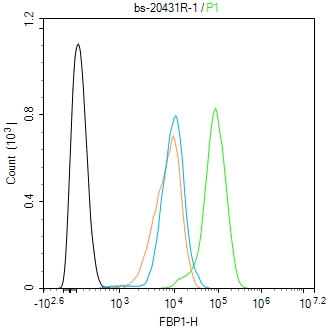FBP1 Rabbit pAb(bs-20431R)-50u