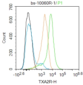TXA2R Rabbit pAb(bs-10060R)-50