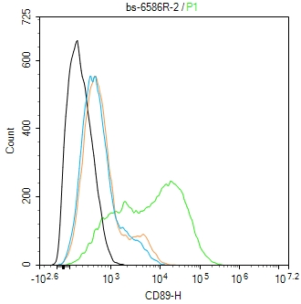 FCAR/CD89 Rabbit pAb(bs-6586R)