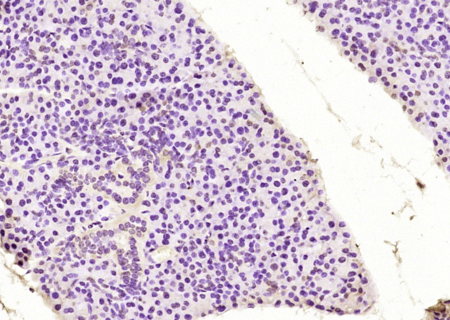 产品细节图片11