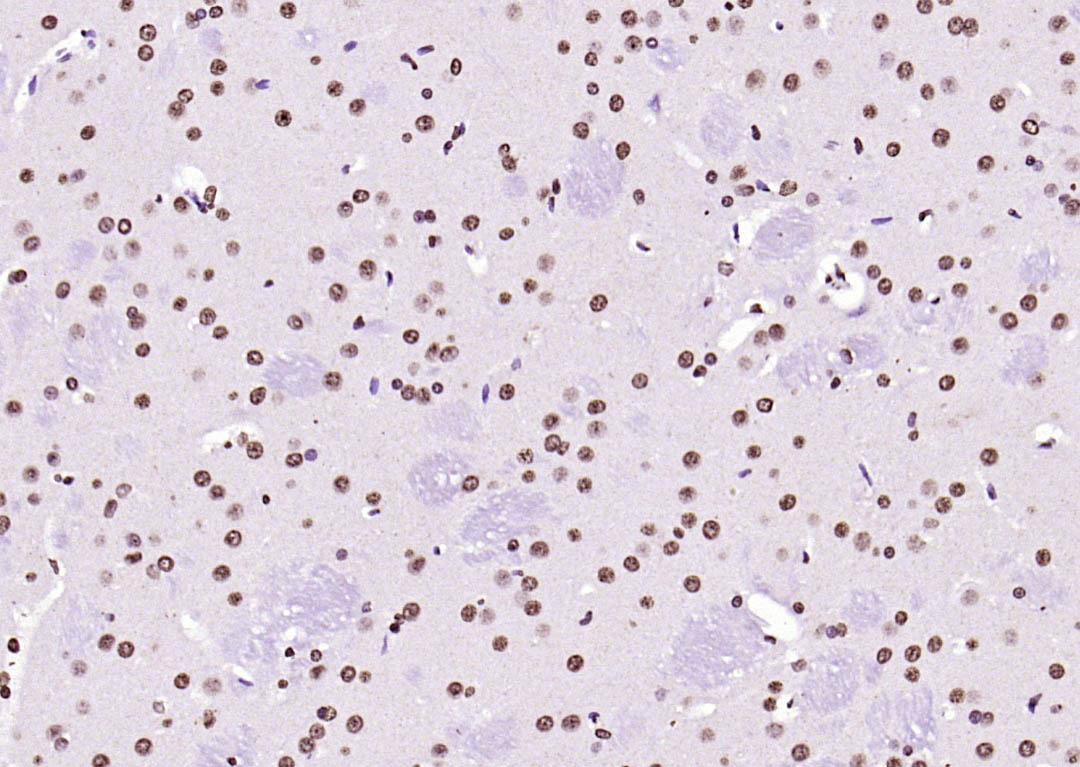 产品细节图片12