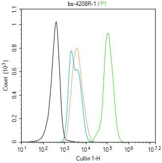 Cullin 1 Rabbit pAb(bs-4208R)-