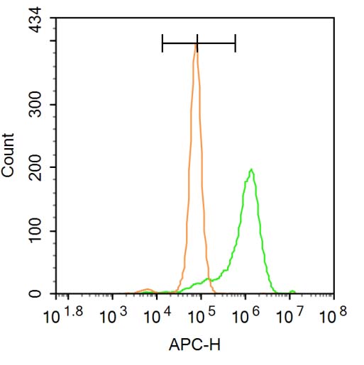 BMAL1 Rabbit pAb(bs-3750R)-50u