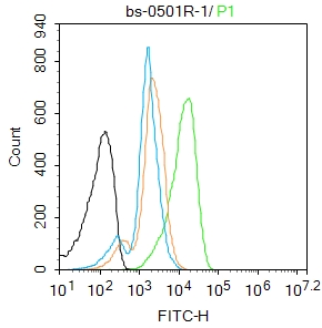 JNK1 + JNK3 Rabbit pAb(bs-0501