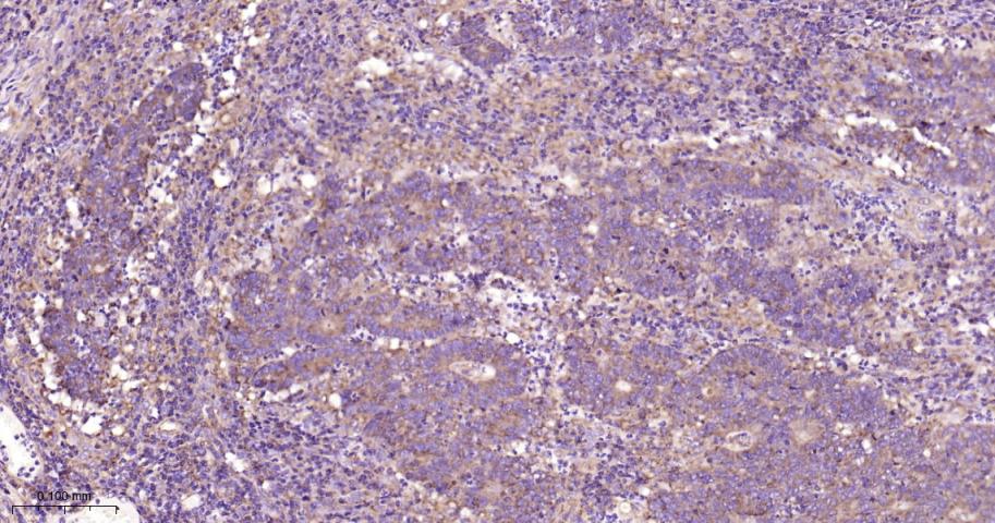 产品细节图片15