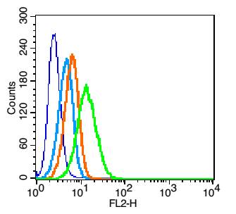 CD90/Thy-1 Rabbit pAb(bs-0778R