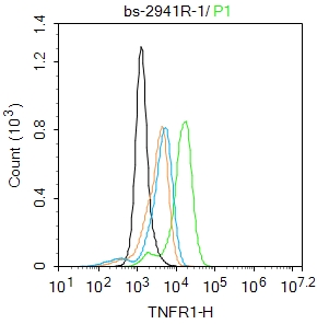 TNFR1 Rabbit pAb(bs-2941R)-50u