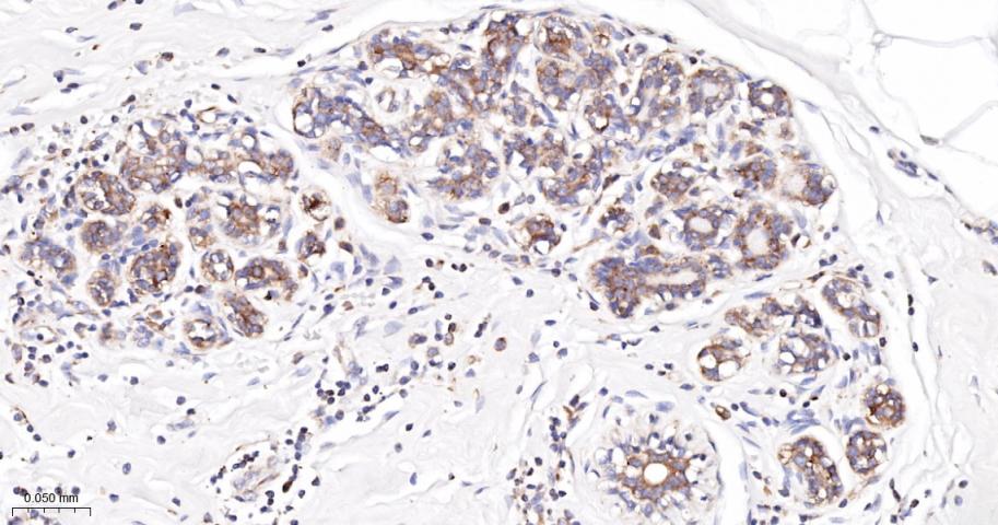 产品细节图片14