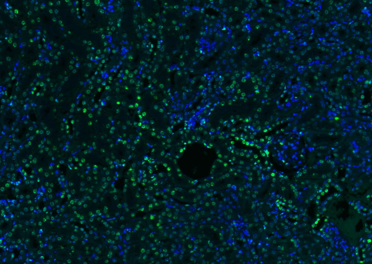 产品细节图片18