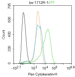 Pan Cytokeratin Rabbit pAb(bs-