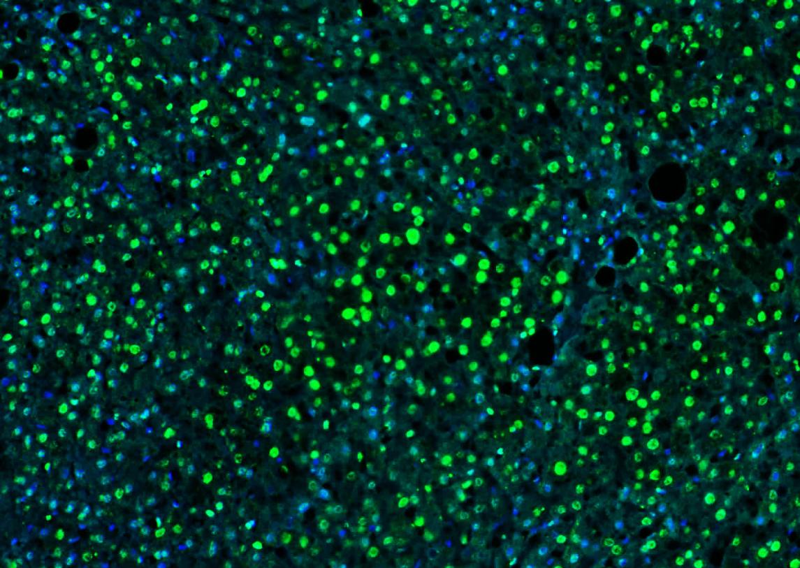 产品细节图片23