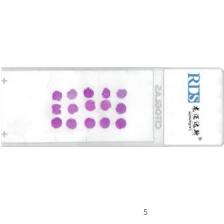 冰冻组织芯片代制作