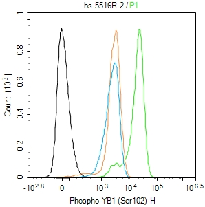 phospho-NFATc2 (Ser330) Rabbit