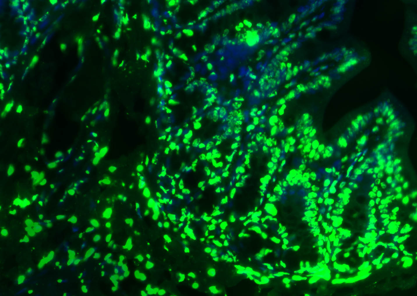 产品细节图片19