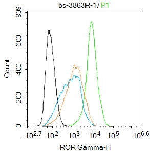 RORC Rabbit pAb(bs-3863R)-50ul