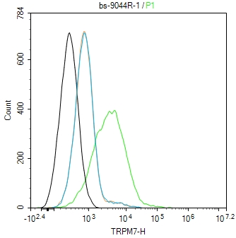 TRPM7 Rabbit pAb(bs-9044R)-50u