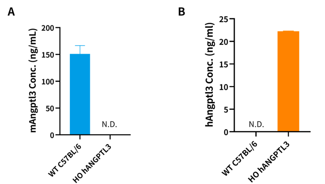 从单抗到siRNA：ANGPTL3靶点重塑降脂疗法格局