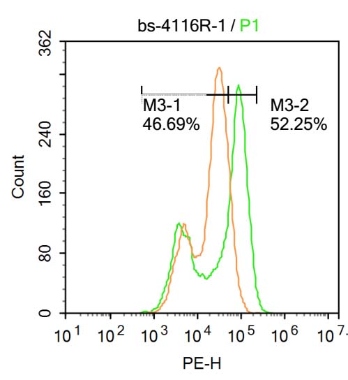 IFNAR1 Rabbit pAb(bs-4116R)-50