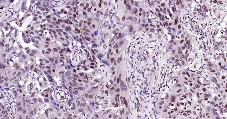 产品细节图片27