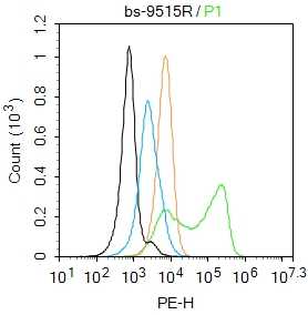 CTH Rabbit pAb(bs-9515R)-50ul/