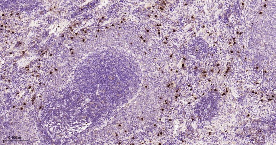 产品细节图片11