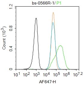 SMAD7 Rabbit pAb(bs-0566R)-50u