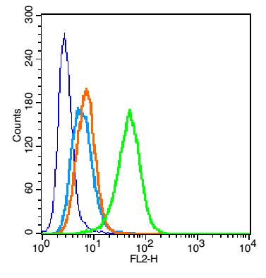 CD11a Rabbit pAb(bs-1804R)-50u