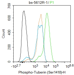 phospho-Tuberin (Ser1418) Rabb