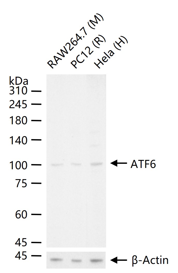 产品细节图片15