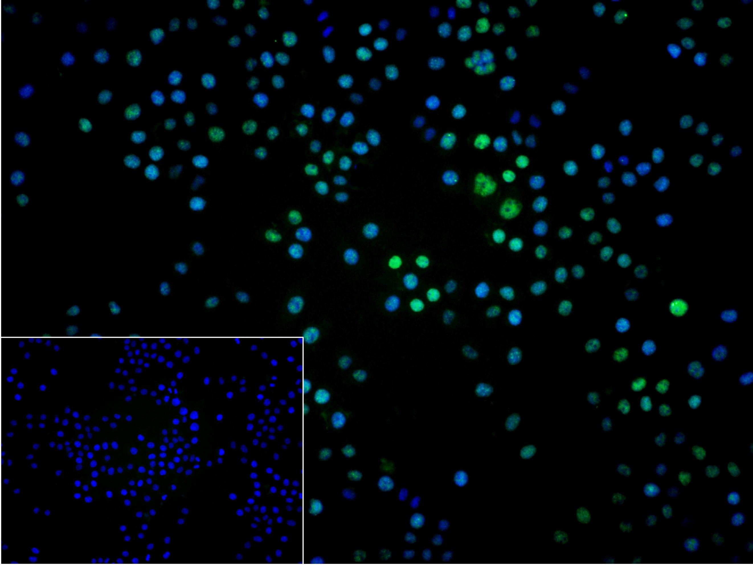 产品细节图片12