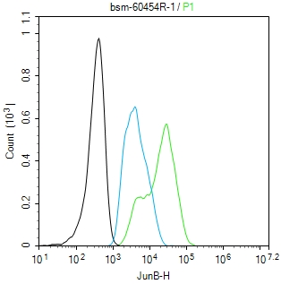 JUNB Recombinant Rabbit mAb(bs