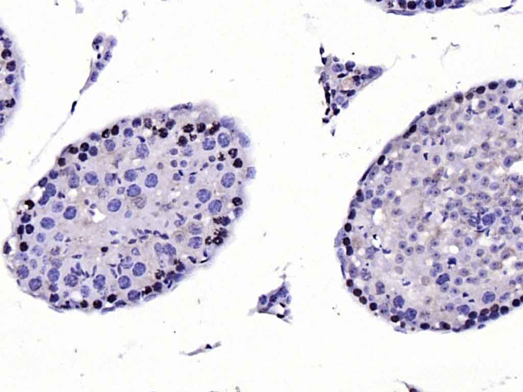 产品细节图片10