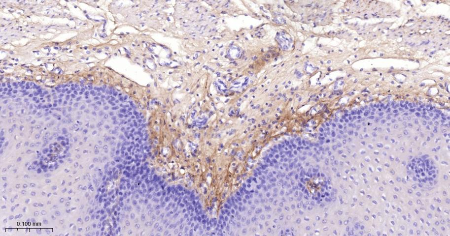 产品细节图片14