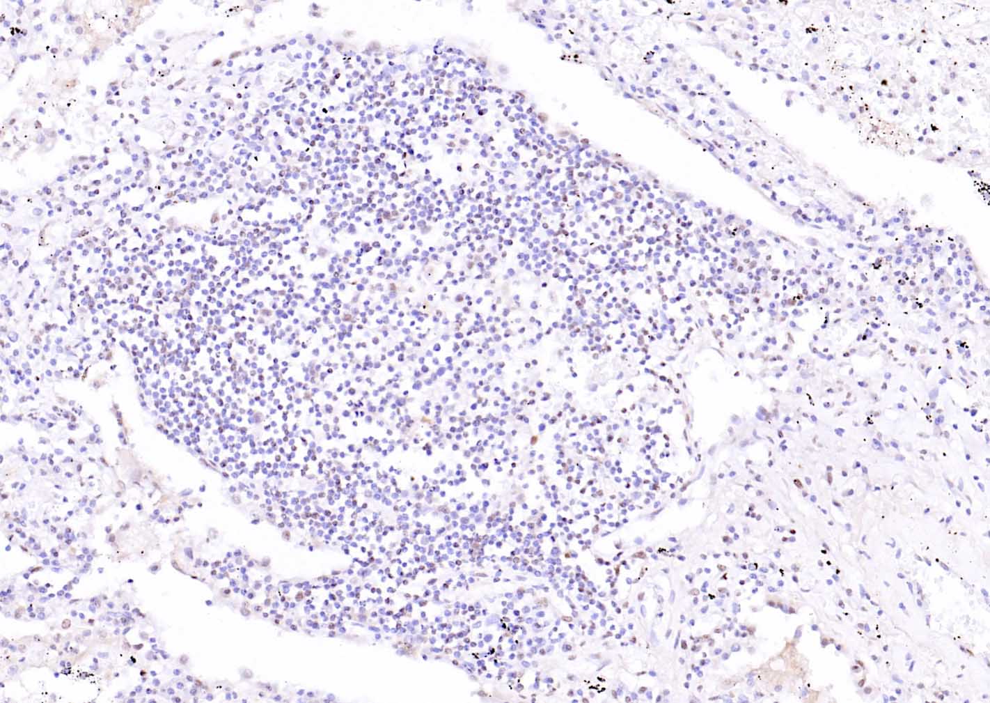 产品细节图片10