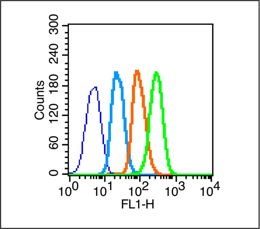 SOX9 Rabbit pAb(bs-4177R)-50ul
