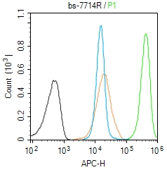 NUF2 Rabbit pAb(bs-7714R)-50ul