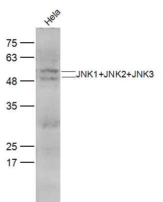产品细节图片11