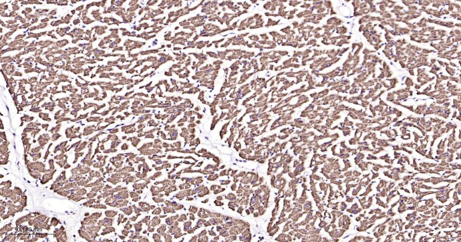 产品细节图片10