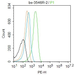 RIP2 Rabbit pAb(bs-3546R)-50ul